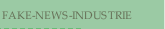 FAKE-NEWS-INDUSTRIE